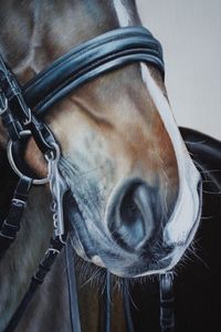 &Ouml;lgem&auml;lde Pferdeportrait 50x70 Detail